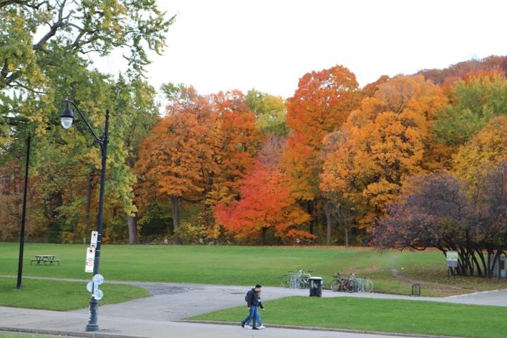 Fall foliage in Montreal